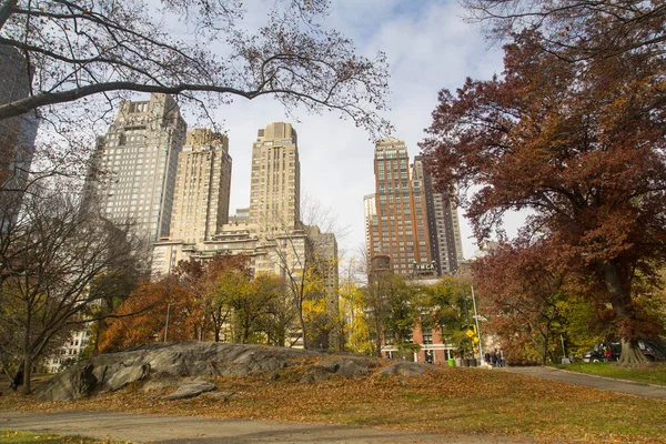 New York - Central Park — Stock Photo, Image