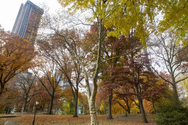 New York - Central Park — Stok fotoğraf