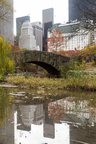 Nueva York - Central Park —  Fotos de Stock