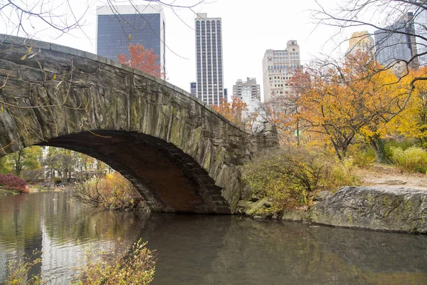 Nueva York - Central Park — Foto de Stock