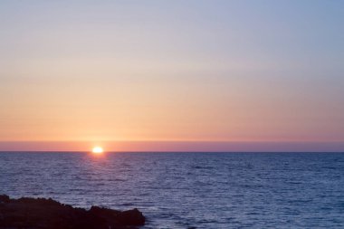 Sardunya - West Coast
