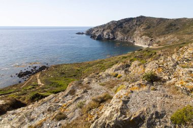 Sardunya - West Coast