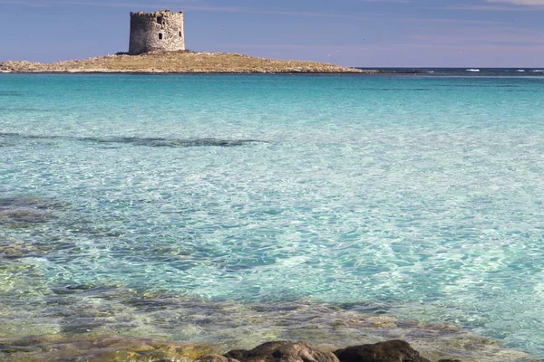 Stintino, La Pelosa — Stock fotografie