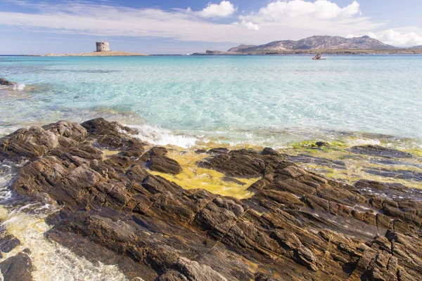 Stintino, La Pelosa — Stockfoto