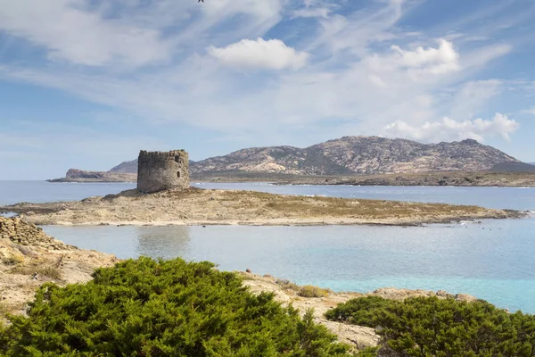 Stintino, La Pelosa — Stockfoto