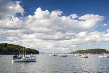 Bar Harbor Acadia Milli Parkı