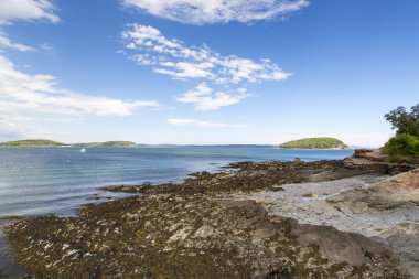Bar Harbor Acadia Milli Parkı