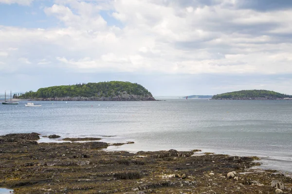 Bar Harbor Acadia Milli Parkı