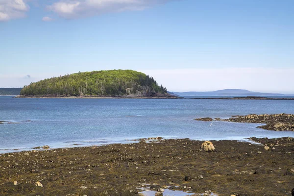 Bar Harbor Acadia Milli Parkı