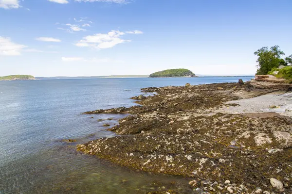 Bar Harbor Acadia Milli Parkı