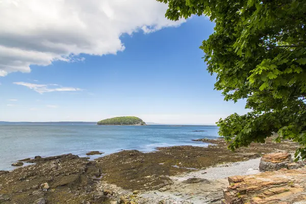 Bar Harbor Acadia Milli Parkı