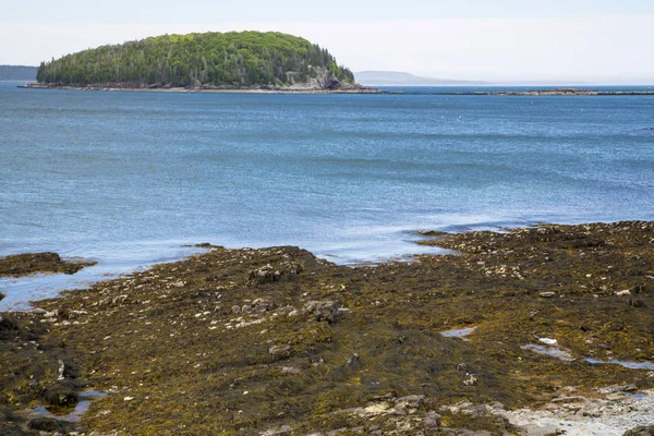 Bar Harbor Acadia Milli Parkı