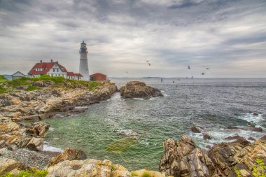 Portland head ışık