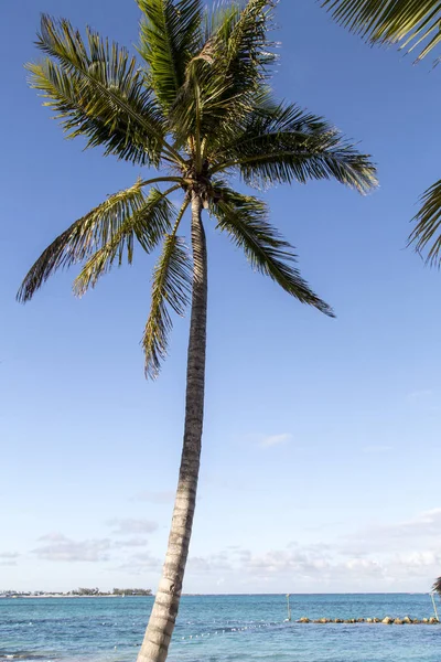 Bahamas, Cable Beach — Stock Photo, Image
