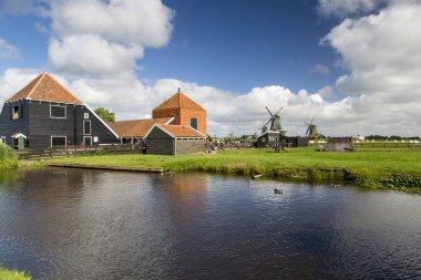 Zaanse Schans rüzgar değirmenleri - Hollanda