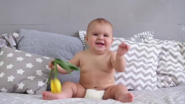 Menino feliz e sorridente com flor. Estúdio. 8 de março. Tulipas. Quadro grande — Vídeo de Stock