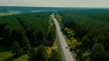 Ormanda yol üzerinde uçuş