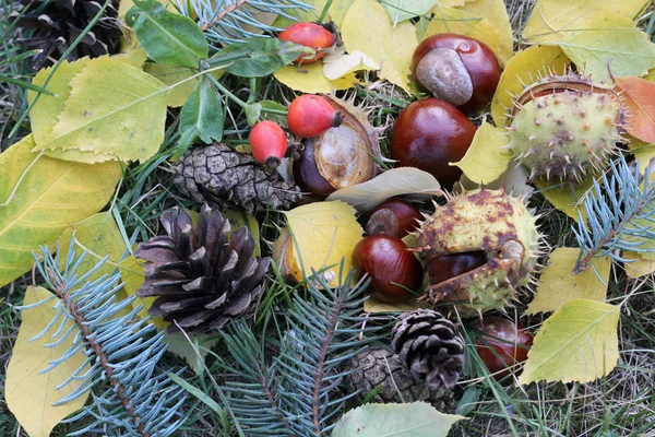 Sonbahar kestane karışımı