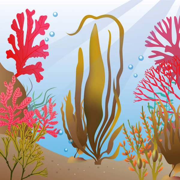 Elemen rumput laut bawah air Alga - Stok Vektor
