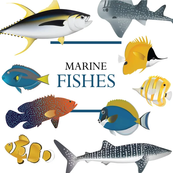 Collezione di pesci tropicali vettoriale marino illustrazione — Vettoriale Stock