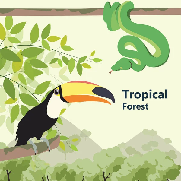 Ilustrações vetoriais Floresta de vida de estilo ecológico Vida selvagem. Floresta —  Vetores de Stock