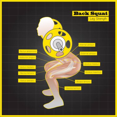 Antagonistik kas egzersizleri ve egzersiz programı