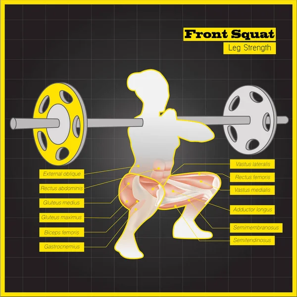 Antagonistik kas egzersizleri ve egzersiz programı