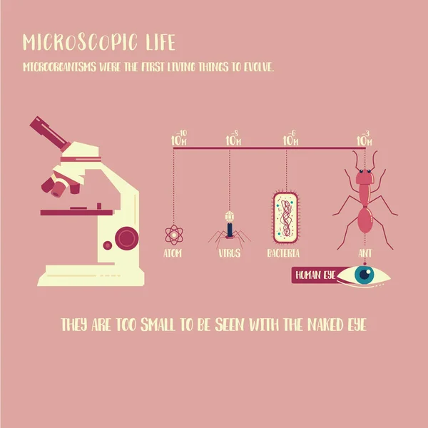 Вектор жизни микроорганизмов — стоковый вектор