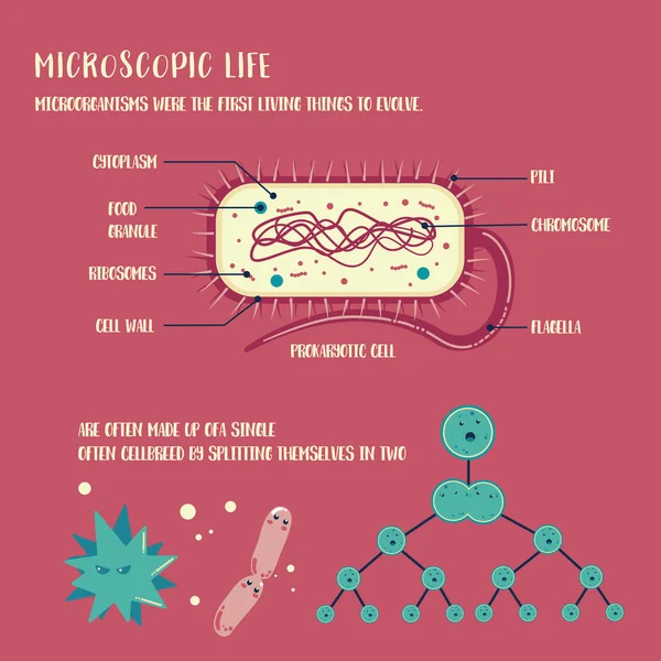 Vecteur de vie des micro-organismes — Image vectorielle