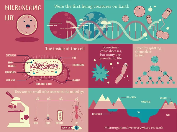 Microorganismo vector de vida — Vector de stock