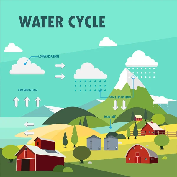 Información del ciclo del agua ilustración gráfica — Vector de stock