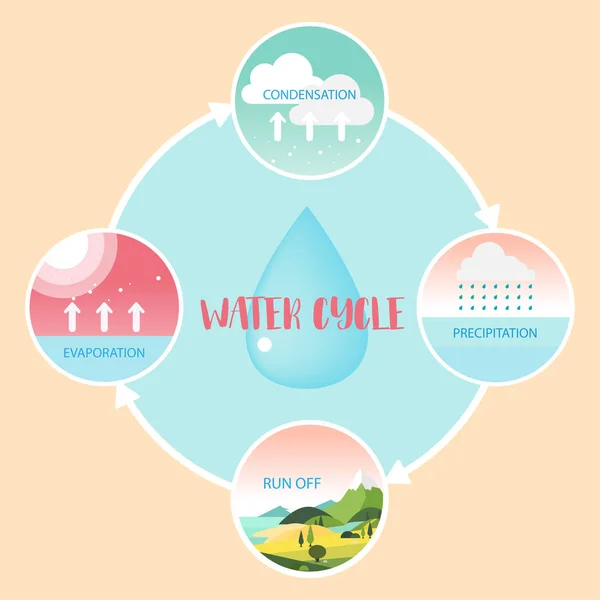 Информация о водном цикле — стоковый вектор