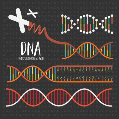 Genetik Dna yapısı  