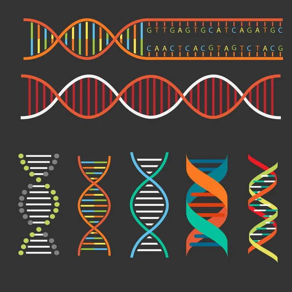 Structure de l'ADN fond et icône — Image vectorielle