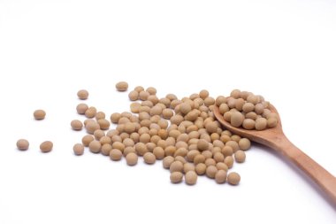 Soya fasulyesi üzerinde beyaz arka plan yüksek protein yakın çekim seçici fo