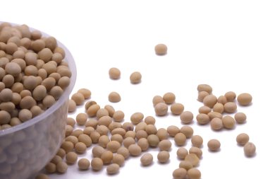 Soya fasulyesi üzerinde beyaz arka plan yüksek protein yakın çekim seçici fo