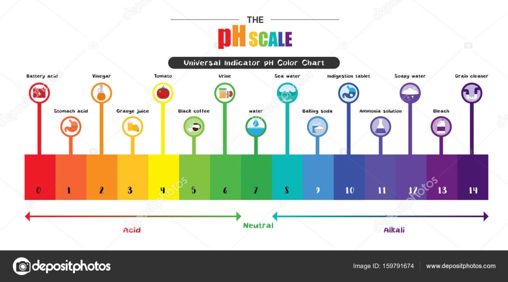 Universal Color Chart