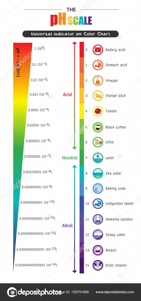 La Milagrosa Dieta Del Ph Pdf Free / VIVE PALEO - Según tu ...