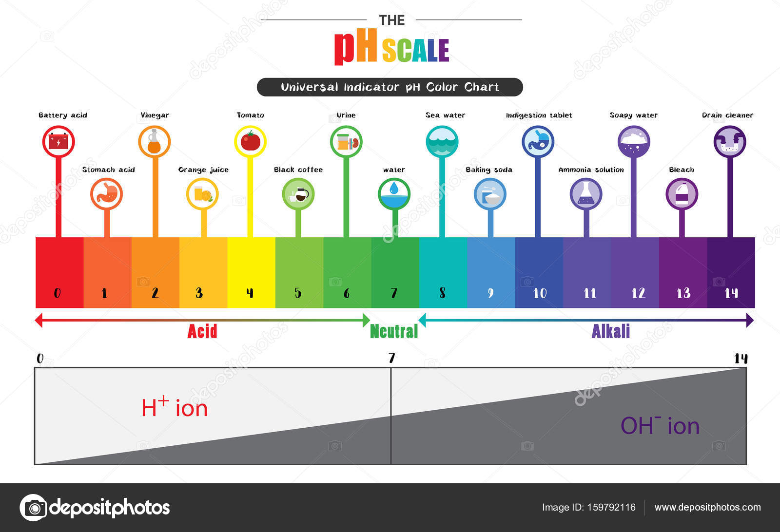the-ph-scale-universal-indicator-ph-color-chart-diagram-stock-vector