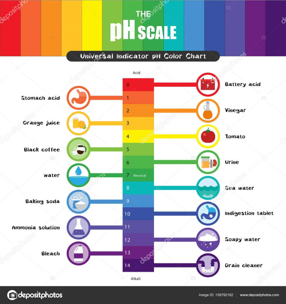 Universal Indicator Color Chart