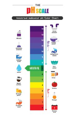 Ph ölçeği evrensel gösterge ph renk grafik diyagramı  