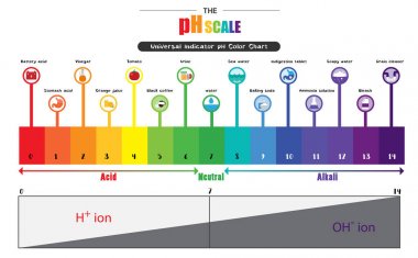 Ph ölçeği evrensel gösterge ph renk grafik diyagramı  