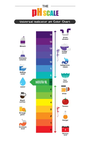 La escala de pH Indicador universal pH Diagrama de carta de colores — Vector de stock