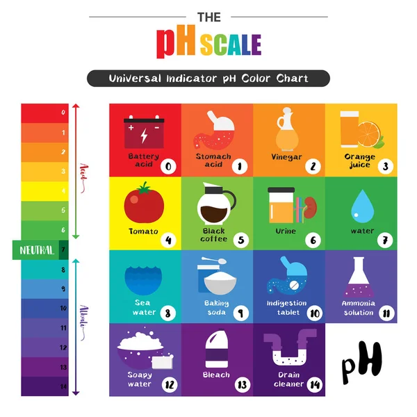 A ph skála univerzális jelző ph színskála diagram — Stock Vector