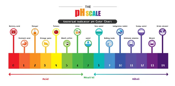 Ph ölçeği evrensel gösterge ph renk grafik diyagramı  