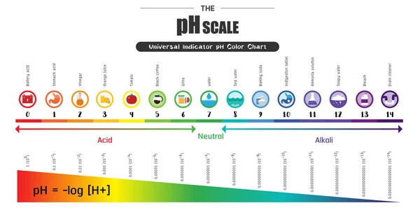 A escala de pH Indicador Universal pH Gráfico de cores diagrama —  Vetores de Stock