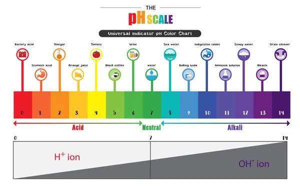 La escala de pH Indicador universal pH Diagrama de carta de colores — Archivo Imágenes Vectoriales