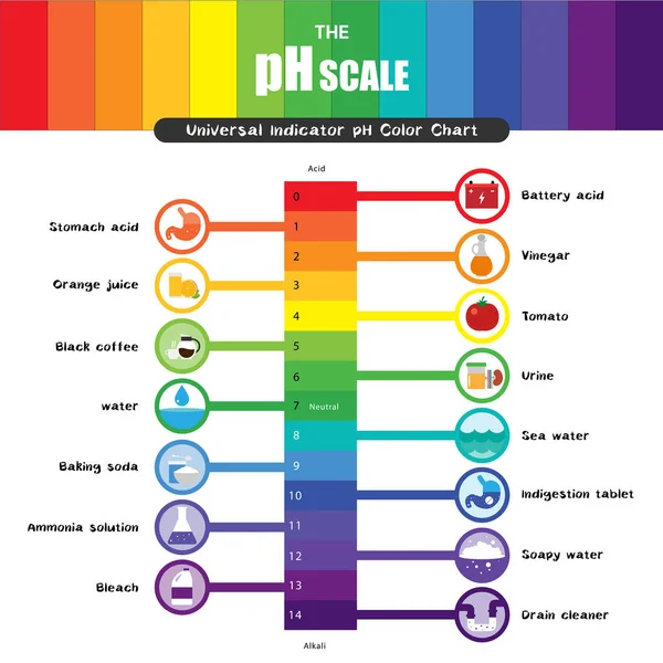 De ph-schaal universele Indicator ph Kleurenoverzicht diagram — Stockvector