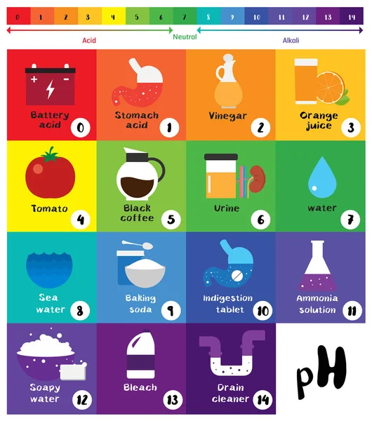 Ph ölçeği evrensel gösterge ph renk grafik diyagramı  