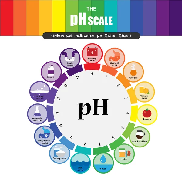 La escala de pH Indicador universal pH Diagrama de carta de colores — Vector de stock